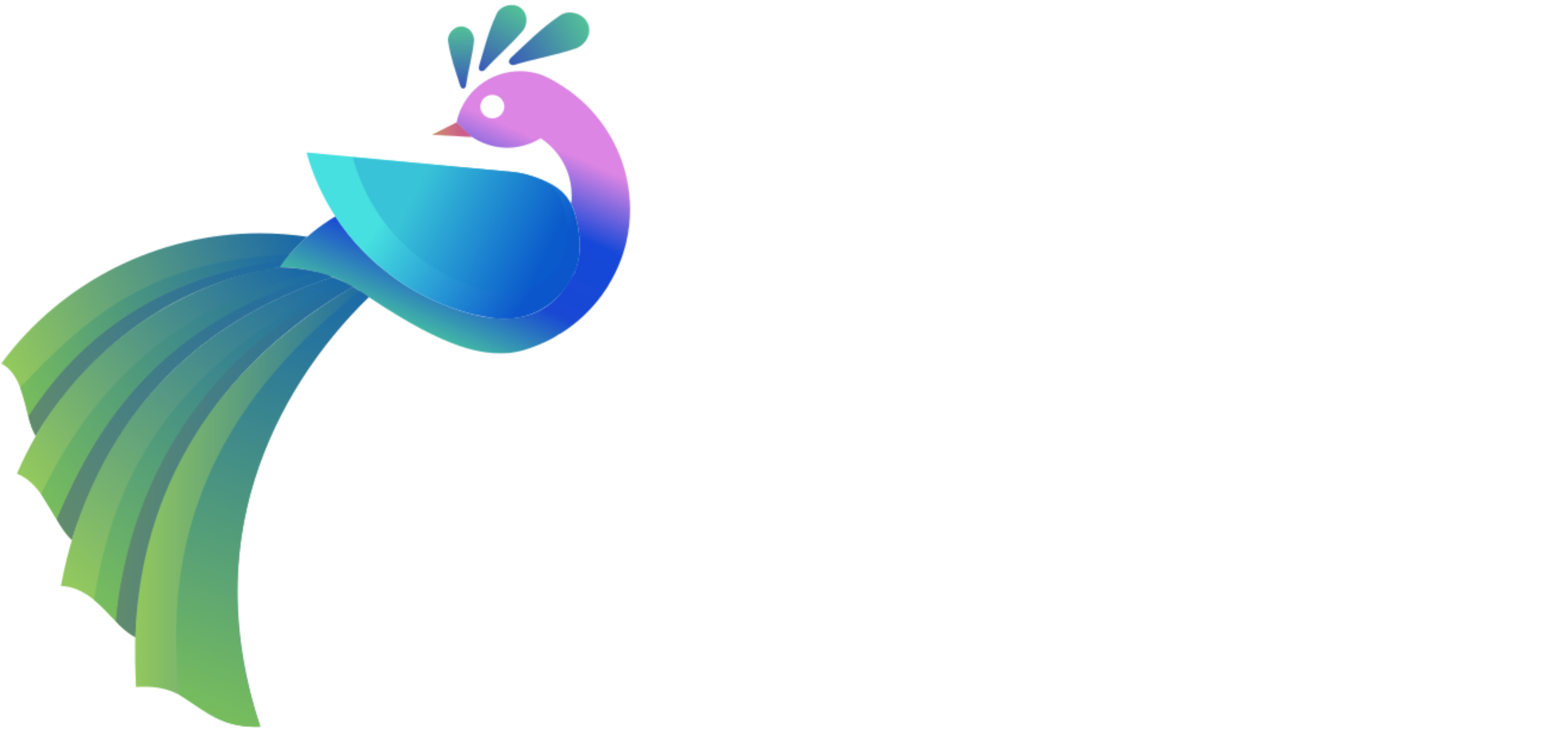 Argos Networks